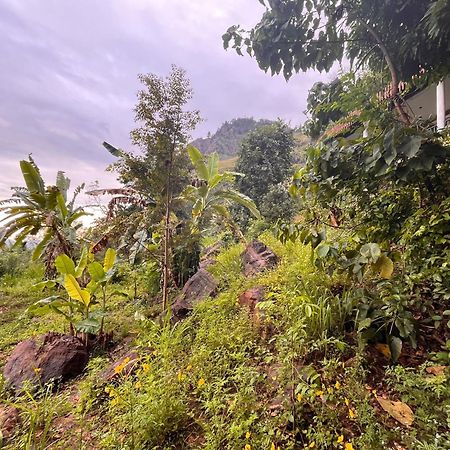 Nature Green Hotels On Rock Home Ella Extérieur photo