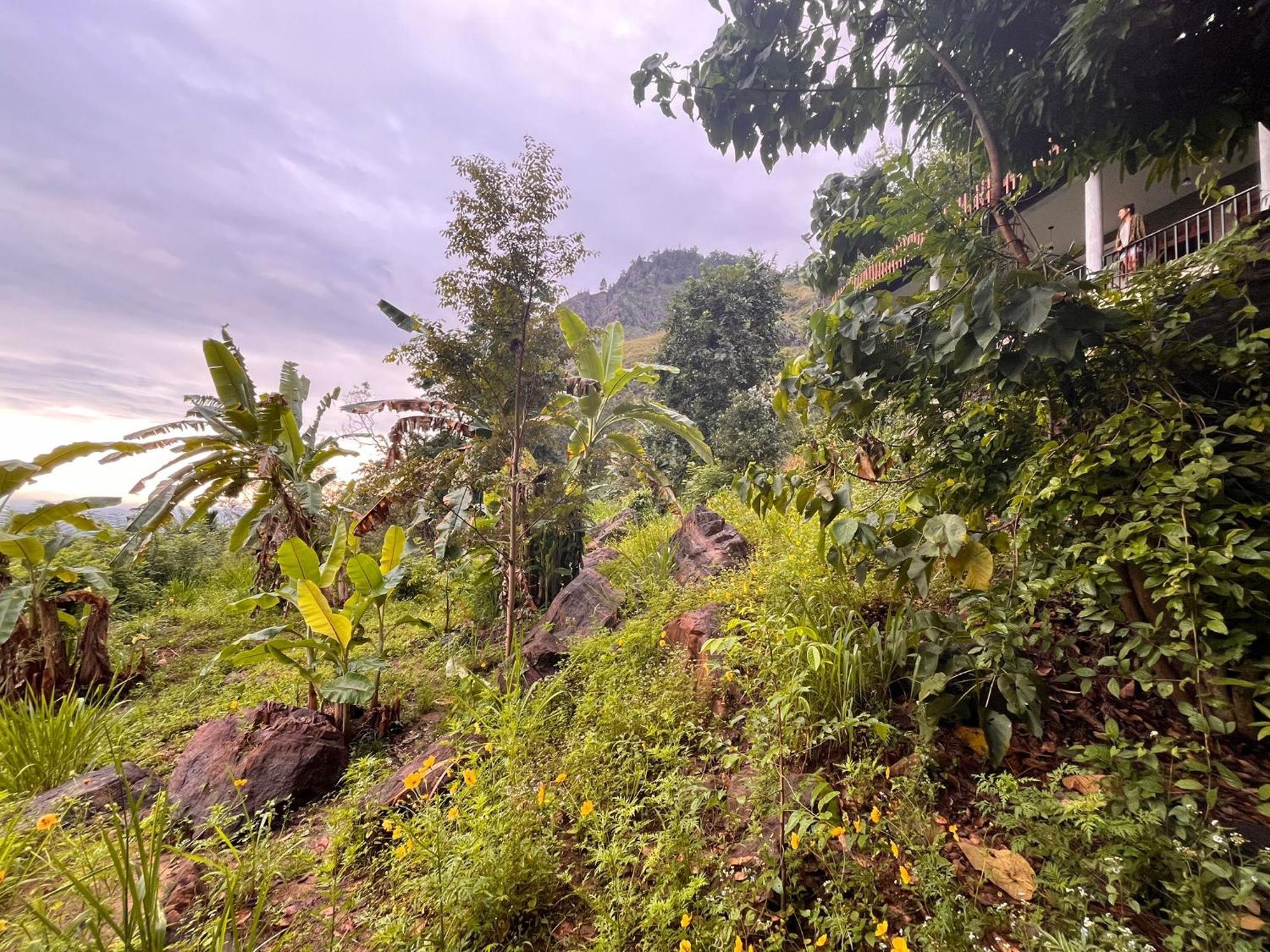 Nature Green Hotels On Rock Home Ella Extérieur photo