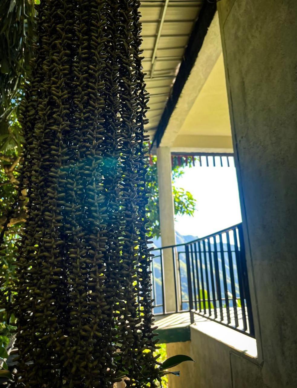 Nature Green Hotels On Rock Home Ella Extérieur photo